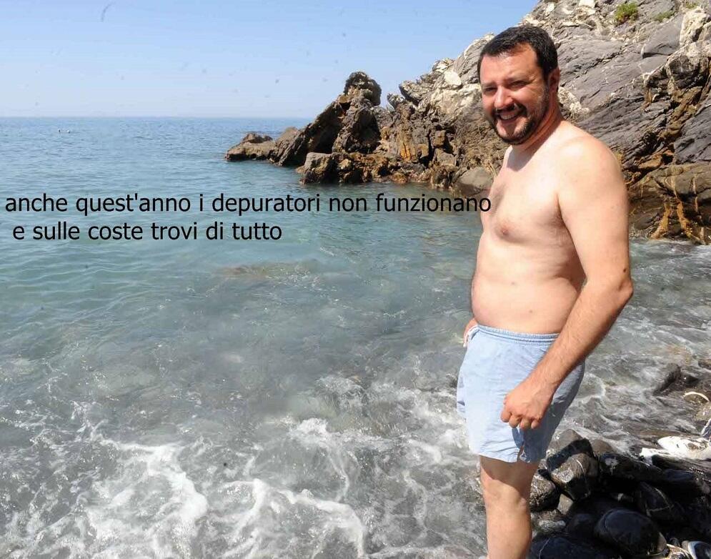 salvini