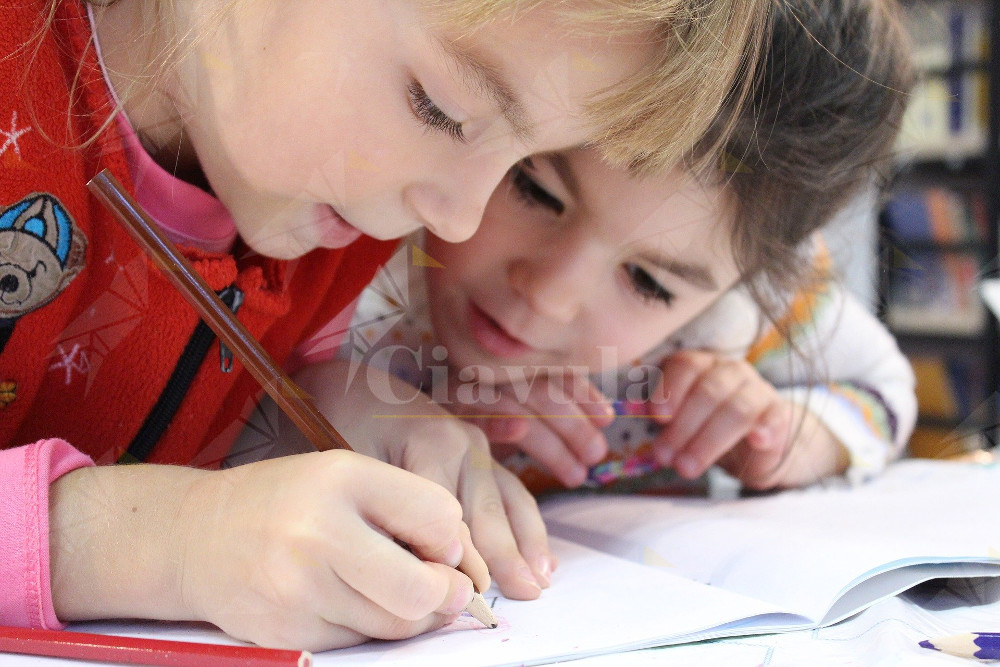 Caulonia, famiglie in difficoltà economica:anche quest’anno offerto il sostegno per le spese di istruzione Caulonia, famiglie in difficoltà economica:anche quest’anno offerto il sostegno per le spese di istruzione