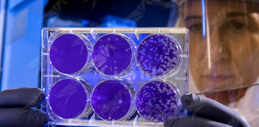 Coronavirus dalla Cina: tutto quello che bisogna sapere Coronavirus dalla Cina: tutto quello che bisogna sapere