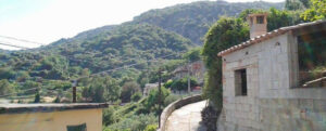 Caulonia: San Nicola torna a far parlare di sè item-thumbnail