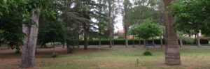 Caulonia marina: stasera proiezione di “Mediterranea” alla villa Angelo Frammartino item-thumbnail