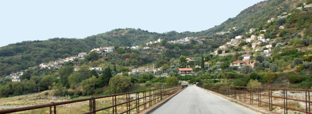 San Nicola: anziano muore cadendo da un albero