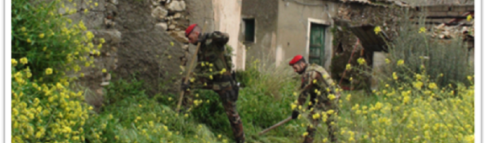 Successo dei Carabinieri di Caulonia nell’accertare furto d’arma