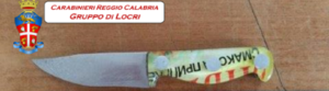Cronaca Locride: 16 denunce e 450 persone identificate item-thumbnail
