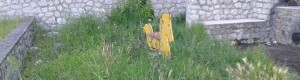 San Nicola: dove i bambini giocano tra zecche e siringhe item-thumbnail