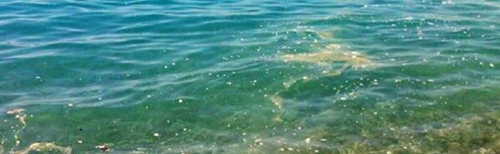 Mare sporco: l’amarezza di un turista che non verrà a Caulonia