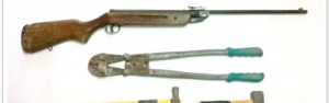 Locride: 1 arresto, 17 denunce e sequestro di piantagione di canapa item-thumbnail