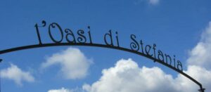 Stasera a Gioiosa “Apericena” a favore dell’AIVA Oasi di Stefania item-thumbnail