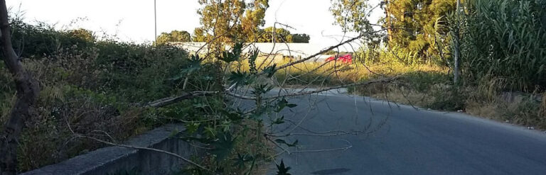 Cuneo Da Taglio Da 8 Pollici Con Punte Cuneo Da Abbattimento Alberi Cuneo Da Spacco Di Legno In Plastica ABS Accessorio Per Motoseg | Leroy Merlin - Foto 6