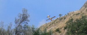 Incendi boschivi, oggi in Calabria sei richieste di intervento aereo item-thumbnail