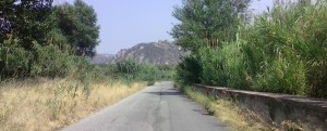 La strada che conduce a San Nicola è invasa da canne ed erbacce item-thumbnail