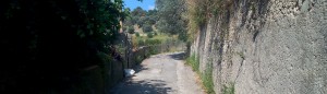 Dove porta questa strada? Su in collina…… item-thumbnail