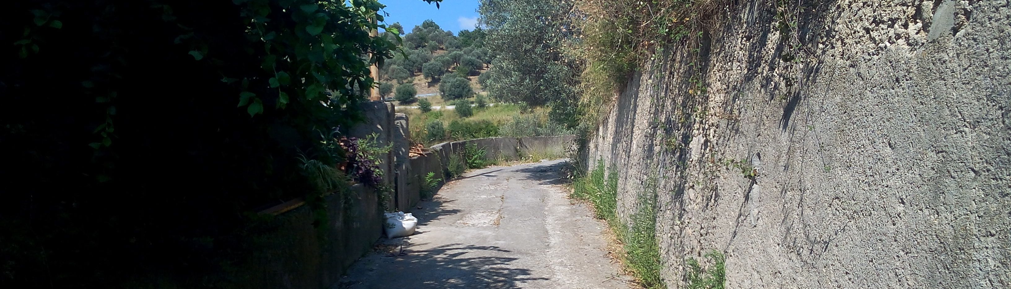 Dove porta questa strada? Su in collina……