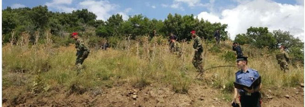 Denunce a Gioiosa, Marina di Gioiosa e Grotteria. Arresto a Locri