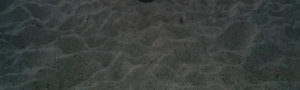 “Cosa fai se il bidone in spiaggia non ce l’ hai?” item-thumbnail