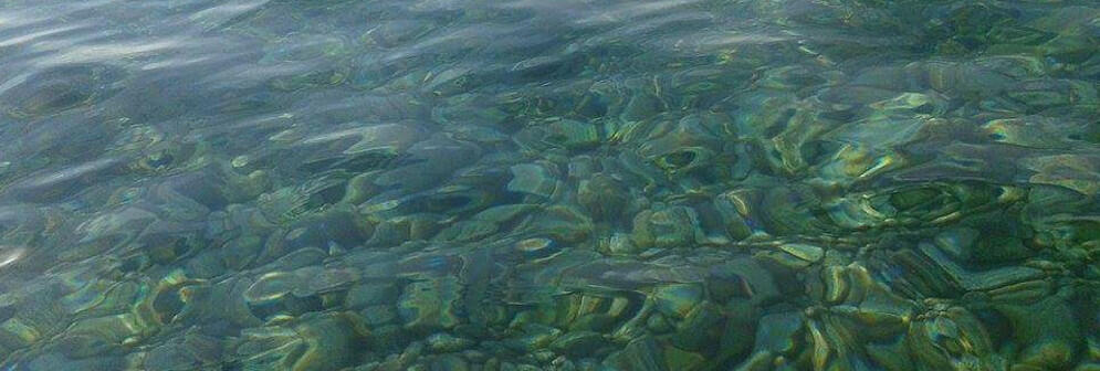 Presenza di “melma gialla” in mare