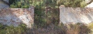 Nel cimitero di Focà dov’ è il rispetto per i defunti? item-thumbnail