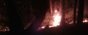 Incendio in zona Ente Sila item-thumbnail