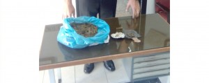 Natile di Careri: rinvenute munizioni e droga item-thumbnail