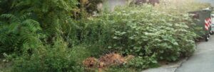 La risposta del Sindaco Fuda alla segnalazione dei lettori item-thumbnail