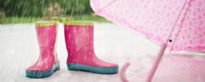 Domani scuole chiuse per allerta meteo item-thumbnail
