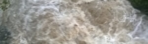 Alluvione di novembre: segnalazione danni per terreni agricoli item-thumbnail