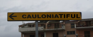 Cosa sta accadendo nella politica cauloniese? item-thumbnail