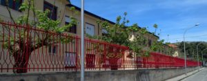 Eletti i genitori del nuovo Consiglio d’Istituto di Gioiosa item-thumbnail