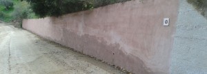 “La vie en rose” da Caulonia a Parigi item-thumbnail