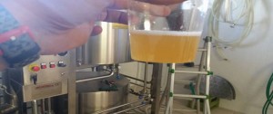 JFour, la prima birra artigianale cauloniese item-thumbnail