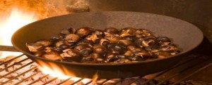Caulonia: festa di San Martino in “Parrocchia” item-thumbnail