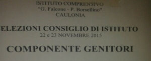 Scuola Caulonia:eletti i rappresentanti d’Istituto item-thumbnail