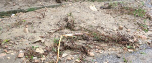 Caulonia: famiglie isolate. Frane in tutto il territorio item-thumbnail