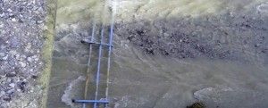 Crolla ringhiera ponte Candidati item-thumbnail