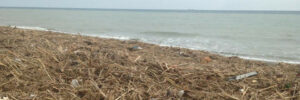 La spiaggia tra Caulonia e Stignano item-thumbnail
