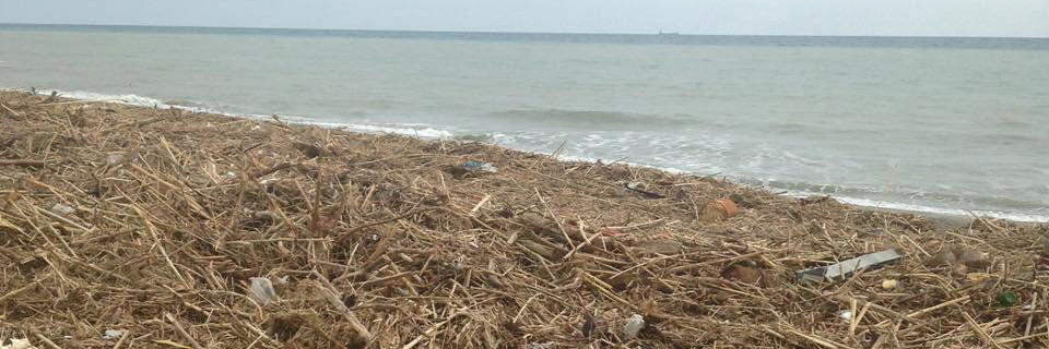 La spiaggia tra Caulonia e Stignano