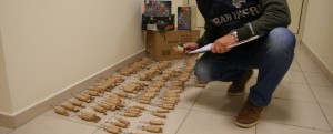 Trasportavano 6 kg di polvere pirica:2 denunce a Locri item-thumbnail