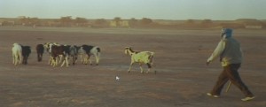 2.700 KM DI MURA: IL RACCONTO SAHARAWI DI NINO VITALE item-thumbnail