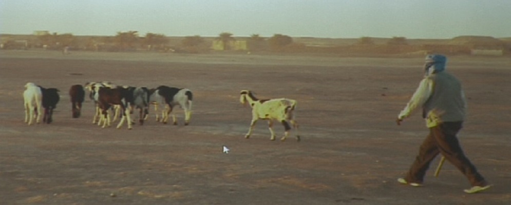 2.700 KM DI MURA: IL RACCONTO SAHARAWI DI NINO VITALE