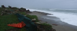 KAULON: IL PIU’ GRANDE MOSAICO DELLA MAGNA GRECIA AFFONDA IN MARE, ANCHE SE I SOLDI CI SONO item-thumbnail