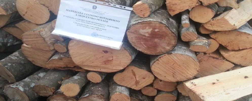 FURTO DI LEGNAME IN ASPROMONTE, INDAGATI DUE OPERAI FORESTALI