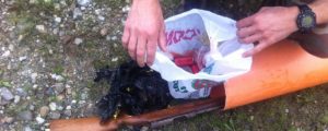 Carabinieri: Il video dell’operazione Falcus item-thumbnail