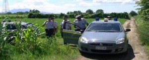 FALSI BRACCIANTI, I DETTAGLI DELL’ATTIVITA’ INVESTIGATIVA DELLA GDF item-thumbnail