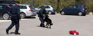 ‘Ndrangheta: sequestrati beni per 5 milioni item-thumbnail