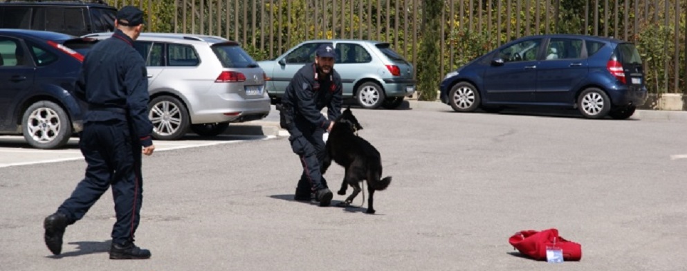‘Ndrangheta: sequestrati beni per 5 milioni