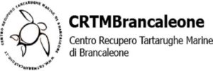 A Brancaleone si tutelano le tartarughe marine item-thumbnail