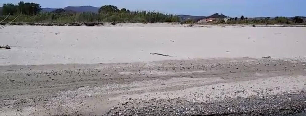 Serpente in spiaggia. La bellezza di Caulonia – Video