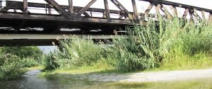 Caulonia: Siamo figli di un dio minore item-thumbnail
