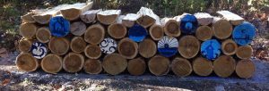 Caulonia: La via della fede passa per Fratellerio item-thumbnail