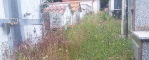 L’abbandono del cimitero di campoli item-thumbnail